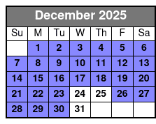 Christmas Light Bus Tour December Schedule