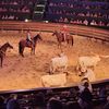 Cowboys and cowgirls on horseback are interacting with longhorn cattle in an arena while an audience watches the event.