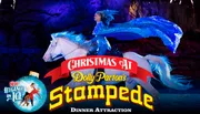 A performer in a blue costume is riding a white horse during a Christmas show at Dolly Parton's Stampede Dinner Attraction.