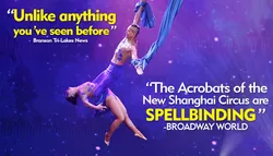 Popular Cirque & Acrobat Shows