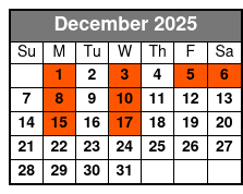 Escape Reality Magic & Illusions Christmas Dinner Show  (Dinner Included) December Schedule