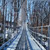 Copperhead Mountain Coaster