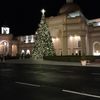 Christmas Tree Outside of Noah the Musical at Sight and sound Theatres Branson 