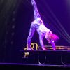 Amazing Acrobats Of Shanghai featuring Shanghai Circus - great seats!