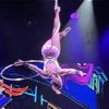 Amazing Acrobats Of Shanghai featuring Shanghai Circus - Each performer had a specialty.