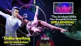 This image features promotional visuals for the New Shanghai Circus, showcasing acrobats performing with text highlights including Spellbinding and Unlike anything you've seen before.