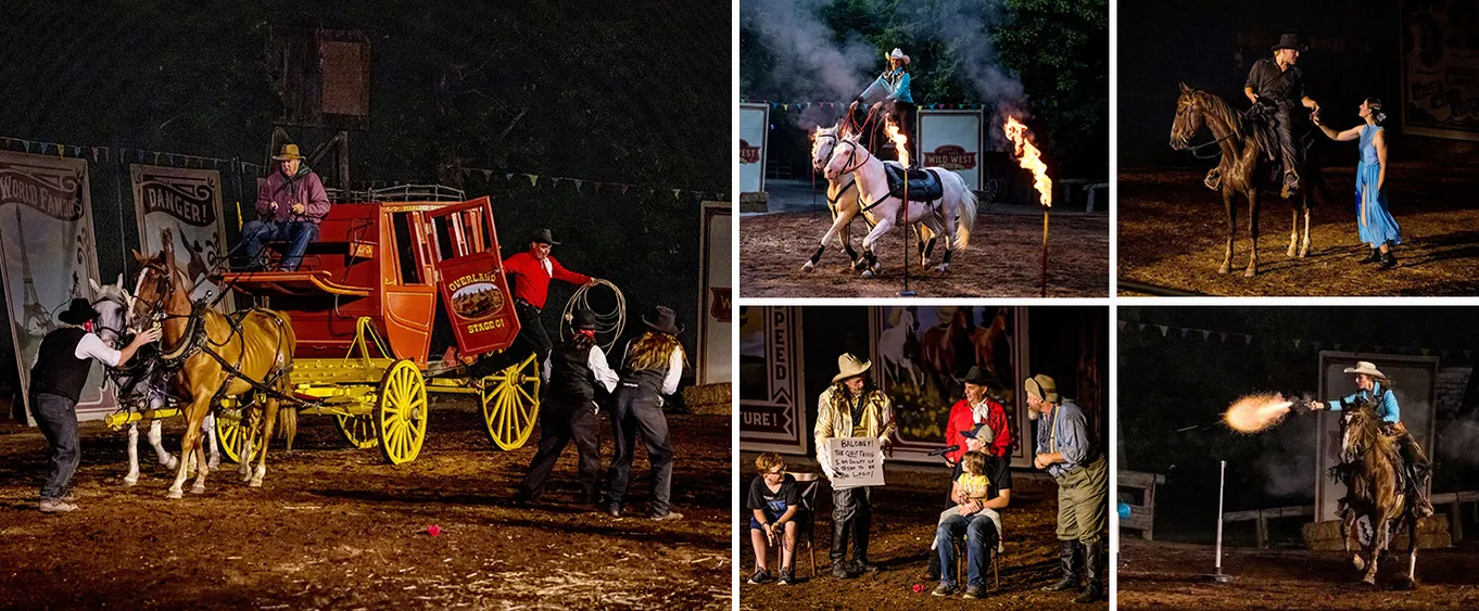 Shepherd's Wild West Murder Mystery Show