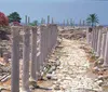 The image displays an ancient colonnaded road flanked by rows of erect and fallen columns amidst ruins with vibrant flowering shrubs and palm trees in the background under a clear sky