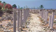 The image displays an ancient colonnaded road flanked by rows of erect and fallen columns amidst ruins, with vibrant flowering shrubs and palm trees in the background under a clear sky.