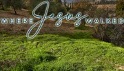 The image shows a lush, green landscape with the text 