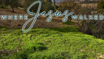 The image shows a lush, green landscape with the text 
