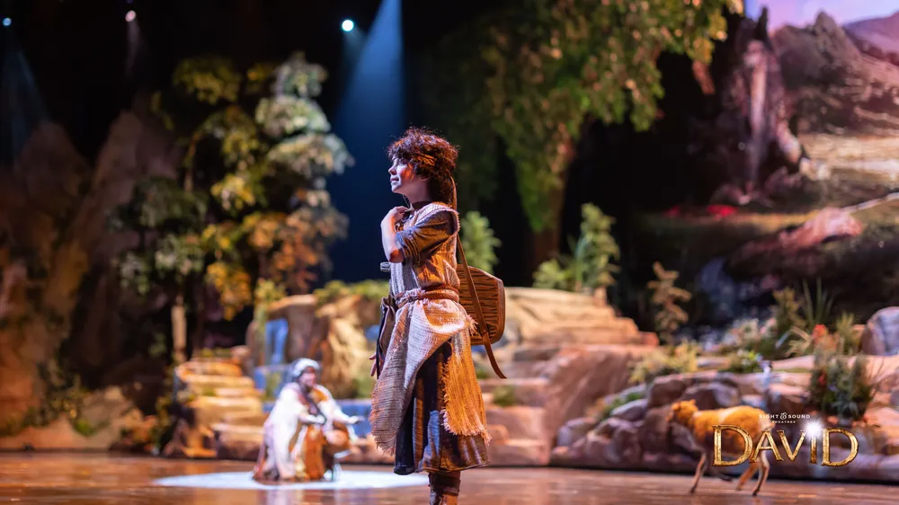 A performer on stage gazes thoughtfully into the distance amidst a nature-themed set as part of a theatrical production with a spotlight highlighting her presence and a logo suggesting the show is titled David