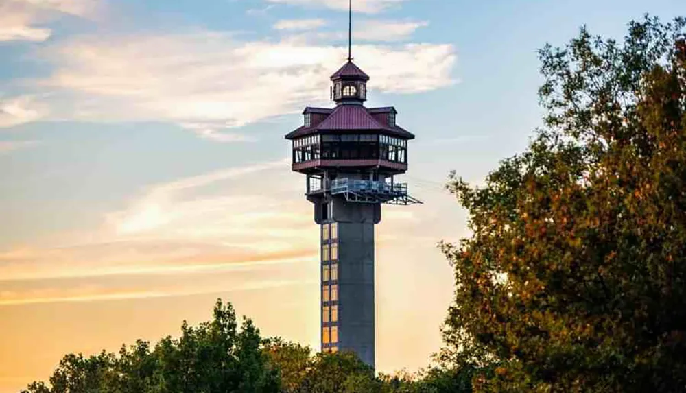 The image shows a tall observation tower with a distinctive hexagonal structure at the top set against a backdrop of a sunset sky and surrounded by trees