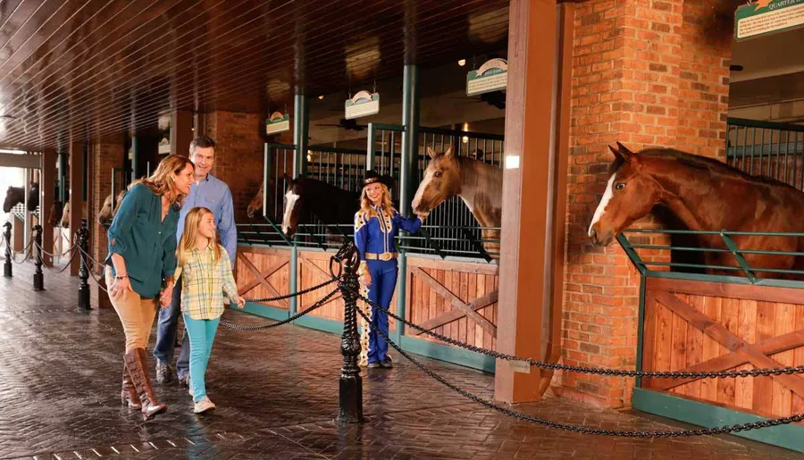 Visiting the Stables