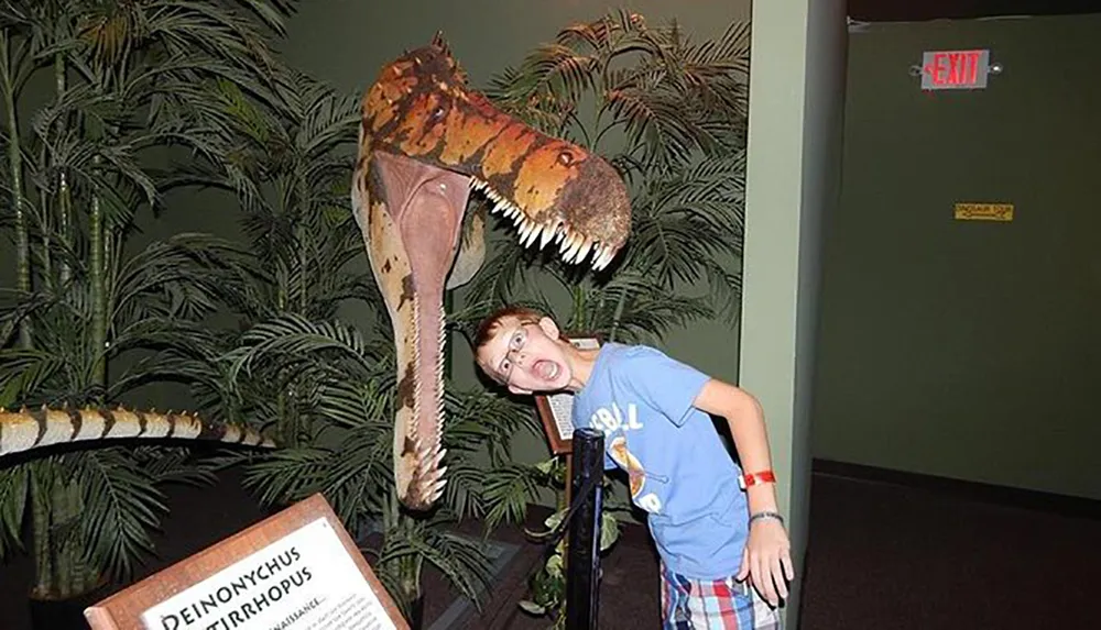 Dinosaur Museum Branson