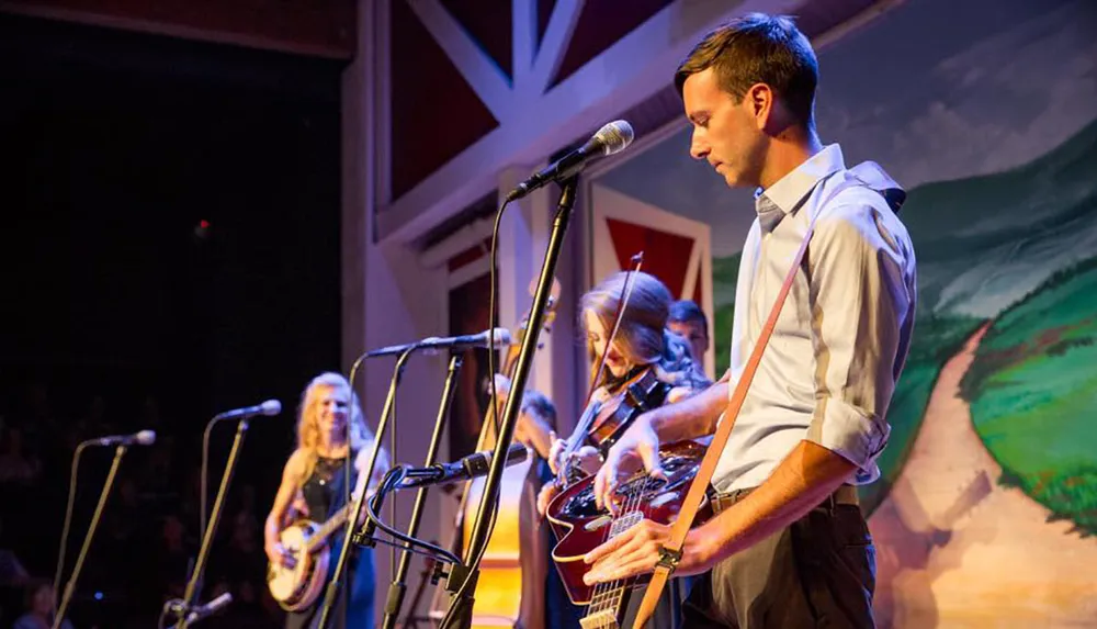 The Petersen Family Bluegrass Band