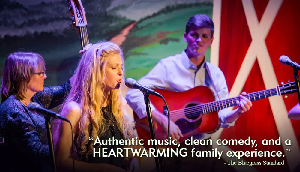 The Petersen Family Bluegrass Band