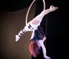 Acrobats of Branson Presents iCircus